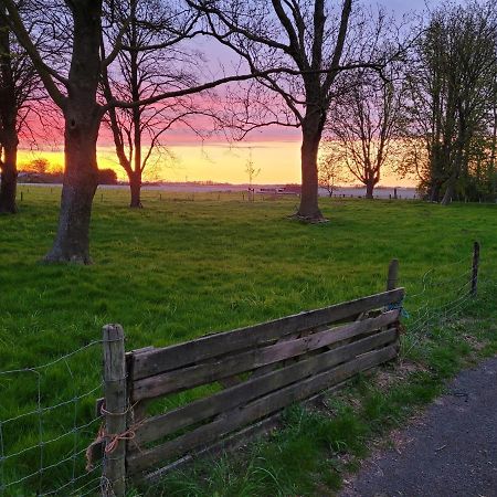 Vakantiehuis Aan Het Bos - Gelegen Aan De Tulpenroute Bant Exterior foto