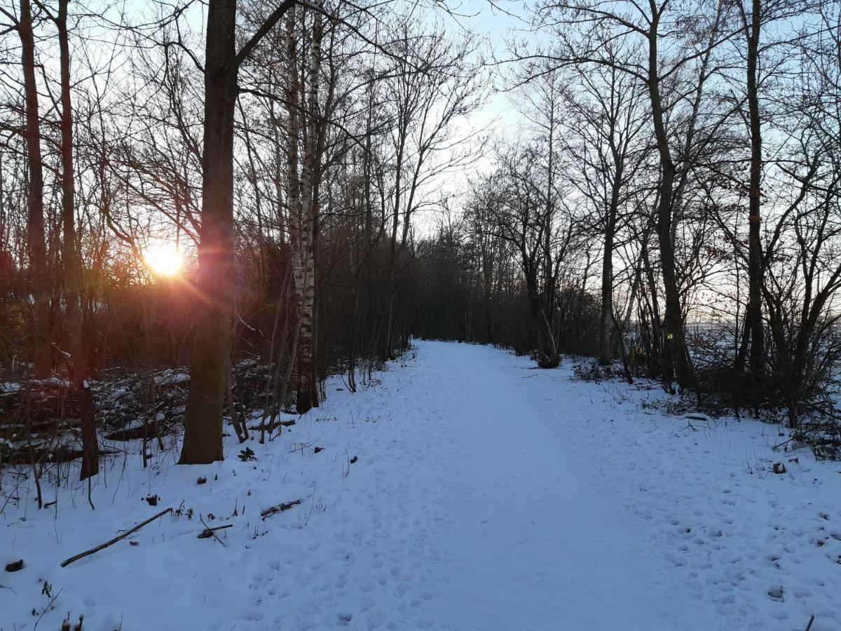 Vakantiehuis Aan Het Bos - Gelegen Aan De Tulpenroute Bant Exterior foto