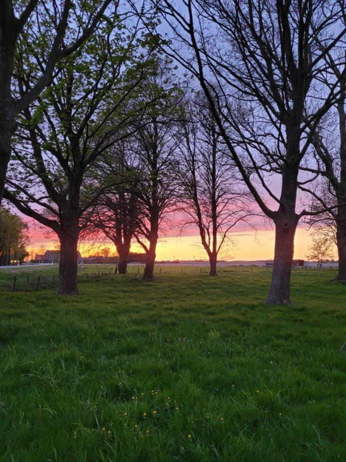 Vakantiehuis Aan Het Bos - Gelegen Aan De Tulpenroute Bant Exterior foto