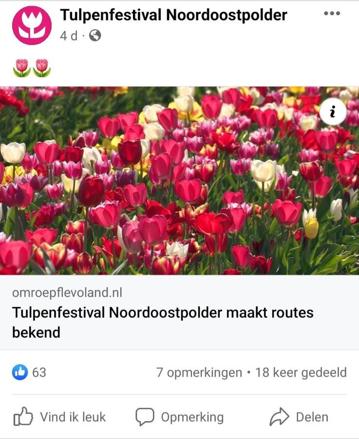 Vakantiehuis Aan Het Bos - Gelegen Aan De Tulpenroute Bant Exterior foto